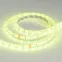 Лента LED герметичная RTW-SE-B60-10mm 24V RGB (14.4 W/m, IP65, 5060, 5m) (ARL, -)