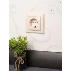 Розетка одноместная СП с заземлением 16А бежевый с защитными шторками Минск