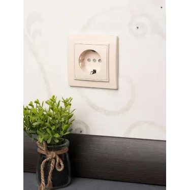 Розетка одноместная СП с заземлением 16А бежевый с защитными шторками Минск