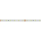 Лента RT-A60-8мм 24V Day4000 (7.2 W/m, IP20, 2835, 5м) (Открытый)