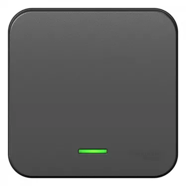 Переключатель одноклавишный наружный BLАNCА (cх.6) с подстветкой, с изолирующей пластиной, 10А, 250В, антрац