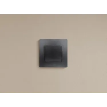 Выключатель одноклавишный, автоматические клеммы 10 AX 250В, антрацит