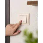 Выключатель двухклавишный СП Минск с индикатором 10А бежевый