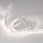 Лента LED RT-A120-8мм 24V Day4000 (14.4 W/m, IP20, 2835, 5м) (ARL, Открытый)