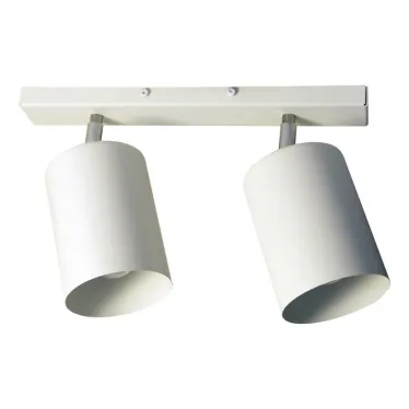 Светильник Спот НПБ 01-2х60-513 бел.матовый/белый ИУ
