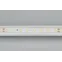 Лента LED герметичная RTW-PS-A80-10мм 24V Day5000 (6 W/m, IP67, 2835, 50m) (ARL, -)