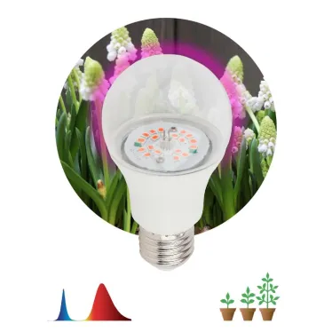 Лампа светодиодная лампа для рассады тип А60, 14 Вт, 220-240V FITO-12W-RB-E27-K