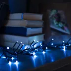 Гирлянда «Кластер LED» 3 м, темно-зеленый ПВХ IP20, 288 диодов, цвет белый | 303-625 | NEON-NIGHT