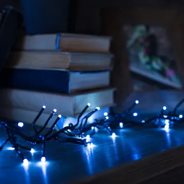 Гирлянда «Кластер LED» 3 м, темно-зеленый ПВХ IP20, 288 диодов, цвет белый | 303-625 | NEON-NIGHT