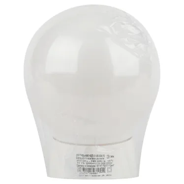 Светильник пылевлагозащищенный под лампу для ЖКХ НБП 01-60-004 с наклонным основанием Гранат полиэтилен IP20 E27 max 60 | Б0052011 | ЭРА