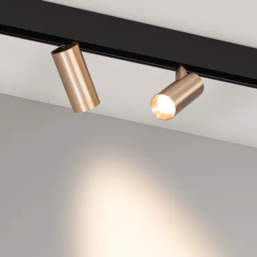 Светильник MAG-ORIENT-SPOT-R45-12W Warm3000 (GD, 24 deg, 48V, DALI) (Arlight, IP20 Металл, 5 лет) | 040891 | Arlight