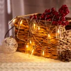 Гирлянда светодиодная Баночки 1,5 м, 10 LED, прозрачный ПВХ, цвет свечения теплый белый, 2 х АА (батарейки не в комплекте) | 303-096 | NEON-NIGHT