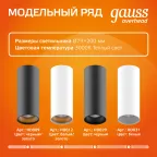 Светильник светодиодный декоративный бытовой HD002 12W (кофе золото) 3000K 79x200мм | HD002 | Gauss