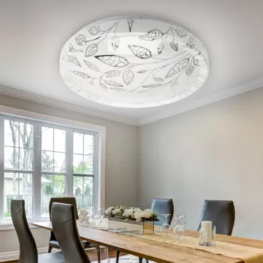 Светильник потолочный светодиодный SPB-6-50-6,5K Syuzi 50Вт 6500K