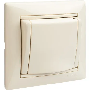 VALENA Розетка с заземлением с крышкой в рамку слоновая кость