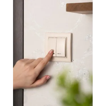 Выключатель двухклавишный СП Минск с индикатором 10А бежевый