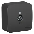 Коннектор ТВ BLANCA с изолирующей пластиной, антрацит