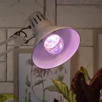 Лампа светодиодная лампа для растений тип А60,11 Вт, 220-240V FITO-11W-Ra90-E27