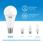 Лампа светодиодная LED 35 Вт 2790 лм 6500К А70 груша холодный E27 AC 220В Elementary Gauss