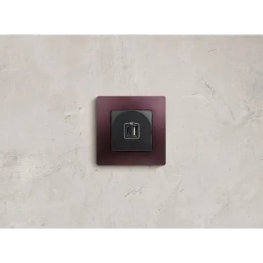 Зарядное устройство с двумя USB-разьемами тип A-тип С 240В/5В 3000мА - Etika - Цвет Антрацит