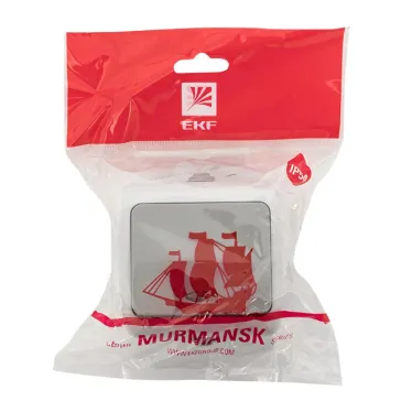 Выключатель 1-клавишный с индикатором 10А Мурманск серый