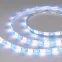 Лента светодиодная RTW-SE-B60-10mm 24V RGBW-Day (14.4 W/m, IP65, 5060, 5m) (arlight, Открытый) | 034154 | Arlight