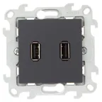 Коннектор 2хUSB, графит