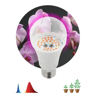 Лампа для растений FITO-14W-RB-E27