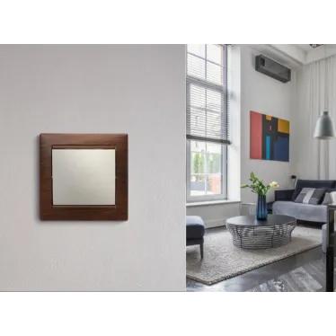 Выключатель одноклавишный, в рамку, слоновая кость