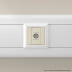 Avanti ТВ розетка оконечная ''Ванильная дымка'', 16A, 1 модульная