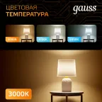 Лампа светодиодная LED 16 Вт 1480 лм 3000К шар G95 теплый E27 AC 220В Black Gauss