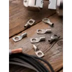 Наконечник силовой медный луженый ТМЛ-Р 10-8 PROxima