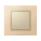 Заглушка, S82,82N, шампань