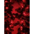 Гирлянда светодиодная  Нить 5 м красный свет,  на эл.пит.АА   ENIN -5NR   IP20 (100/2500) | Б0047963 | ЭРА
