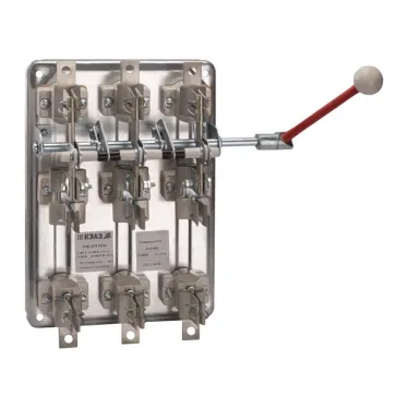 Разъединитель РПБ-2П-250А-безПВ-У3-