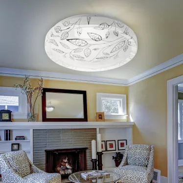 Светильник потолочный светодиодный SPB-6-36-6,5K Syuzi 36Вт 6500K 1850Лм | Б0053324 | ЭРА