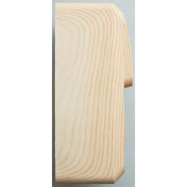 ЭТЮД Блок открытой установки Розетка с зеземлением со шторками + Выключатель двухклавишный сосна