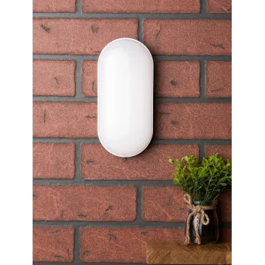 Светильник светодиодный ЖКХ овал ДПО-2005 12Вт 4000K IP65 PROxima