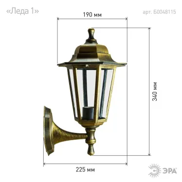 НБУ 06-60-001, Леда1 настенный шестигранный под бронзу (8/96)