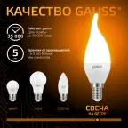 Лампа светодиодная LED 6,5Вт E14 220В 2700К свеча на ветру | 104101107 | Gauss