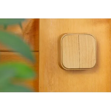 Quteo Выключатель двухклавишный наружный дерево 10А