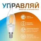 Лампа светодиодная филаментная Smart Home DIM+CCT E14 CF35 4,5 Вт 2000-6500 К 1/10/40 | 1280112 | Gauss