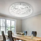 Светильник потолочный светодиодный SPB-6-50-6,5K Syuzi 50Вт 6500K