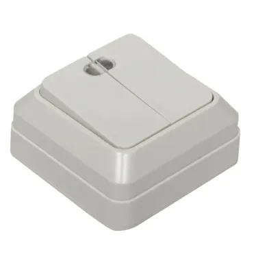 Рим Выключатель двухклавишный с индикатором 10А белый