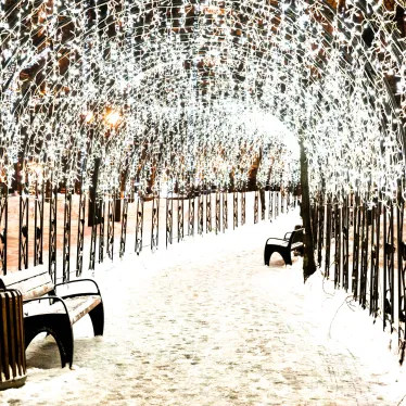 Светодиодная гирлянда ARD-EDGE-CLASSIC-2400x600-CLEAR-88LED-PULSE Warm (230V, 6W) (Ardecoled, IP65) | 034913 | Arlight