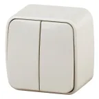 Выключатель двойной, 10A-250В, ОУ, Polo, сл.кость,3-104-02