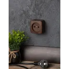 Розетка 1-местная ОП Минск 10А без заземления темное дерево