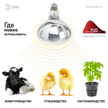 Лампа инфракрасная ИКЗ 220-250 R127 E27 250 Вт ЭРА