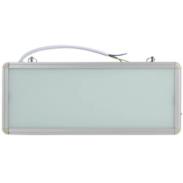 Светильник аварийный светодиодный без текста 3Вт, 3ч, стикер 358х145 мм односторонний SSA-101-0-20 ЭРА