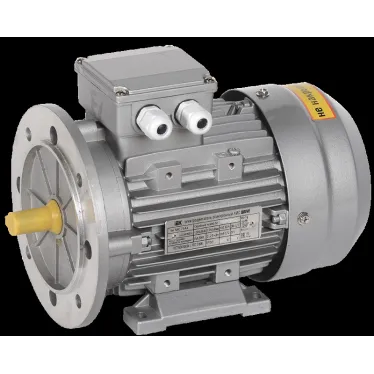 Электродвигатель трехфазный АИС 100LB4 380В 3кВт 1500об/мин 2081 DRIVE